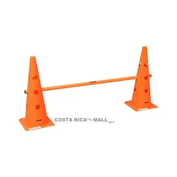 SET DE 2 CONOS CON BARRA 380-6697 PIONEER