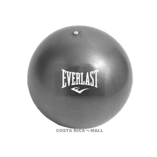MINI BOLA PARA PILATES 25cm EVPB2W130 EVERLAST