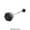BARRA RECTA PESO FIJO 50Kg 380-608