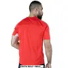 CAMISETA DEPORTIVA HOMBRE SEASONAL EV77HAM353 ATRAS EVERLAST