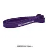 POWER BAND EVPB4R022 22mm MORADO EVERLAST