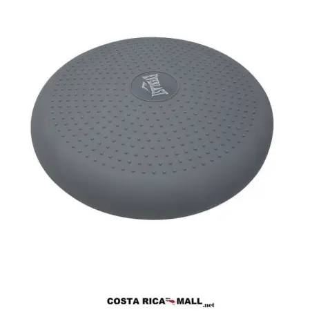 DISCO INFLABLE PARA BALANCE EVBC4W005 EVERLAST
