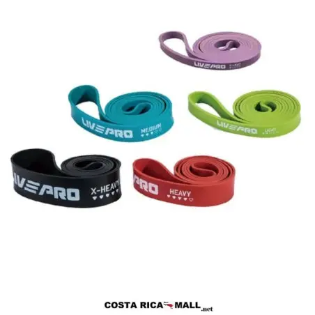 POWER BAND LP8410 LIVEPRO. Variedad de resistencias. Por unidad.