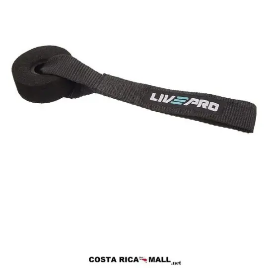 ANCLAJE PARA PUERTA LP8403 LIVEPRO