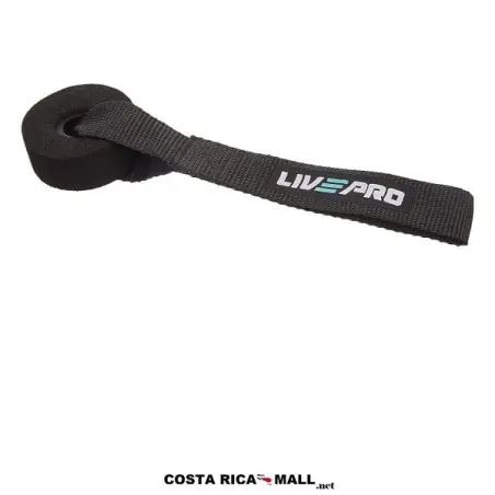 ANCLAJE PARA PUERTA LP8403 LIVEPRO