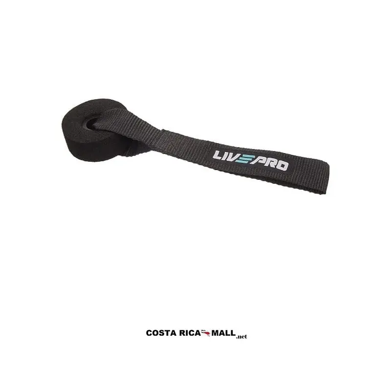 ANCLAJE PARA PUERTA LP8403 LIVEPRO