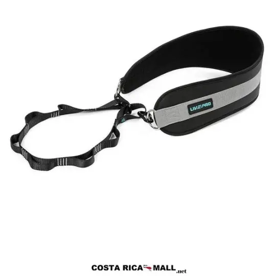 CORREA DE PESAS LP8098 USO LIVEPRO